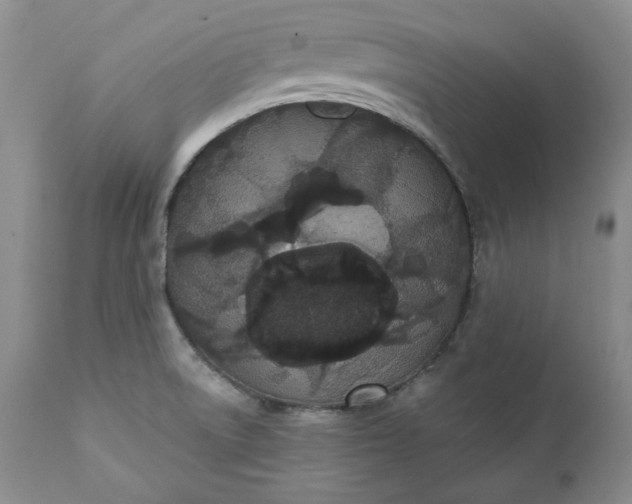 X0000111441522200907271117