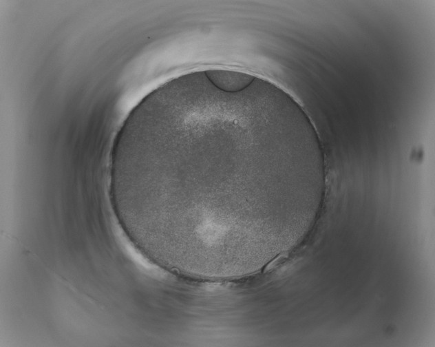 X0000111441523200907271117