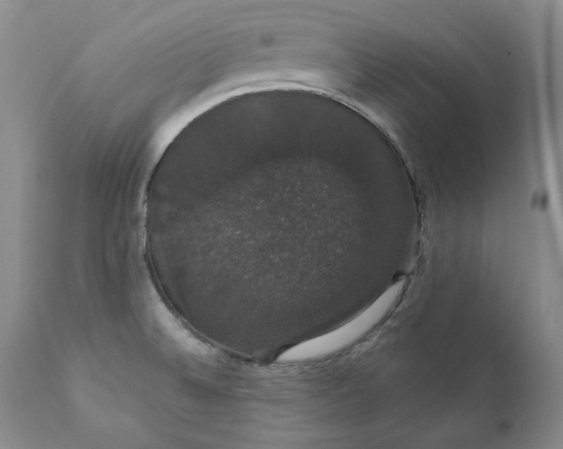 X0000111441524200907271117