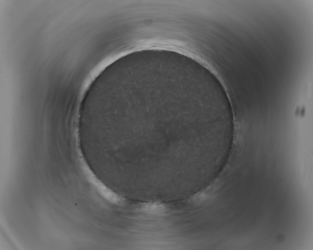 X0000111441525200907271117