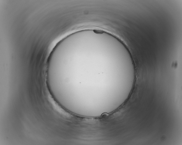 X0000111441526200907271117