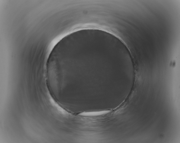 X0000111441527200907271117