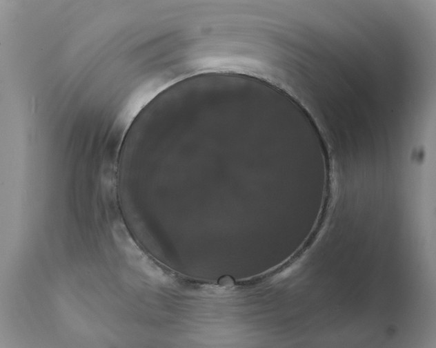 X0000111441529200907271117