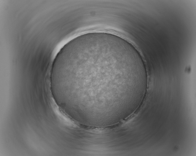 X0000111441530200907271117