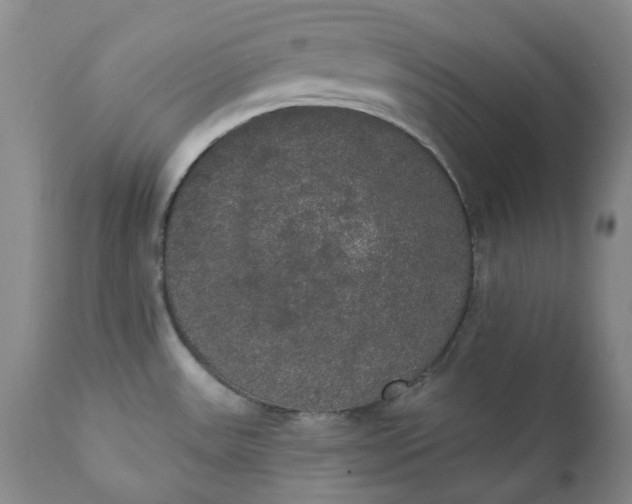 X0000111441531200907271117