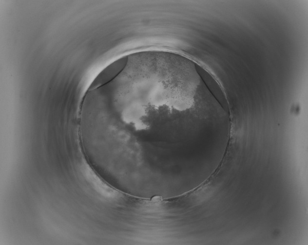 X0000111441532200907271117