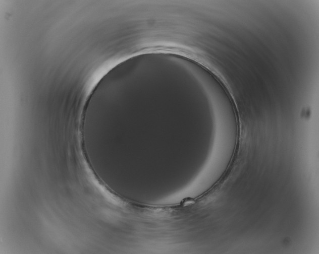 X0000111441533200907271117