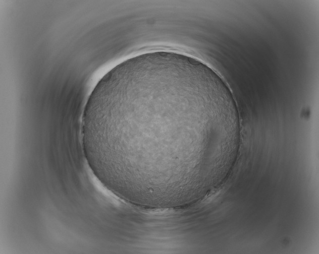 X0000111441535200907271117