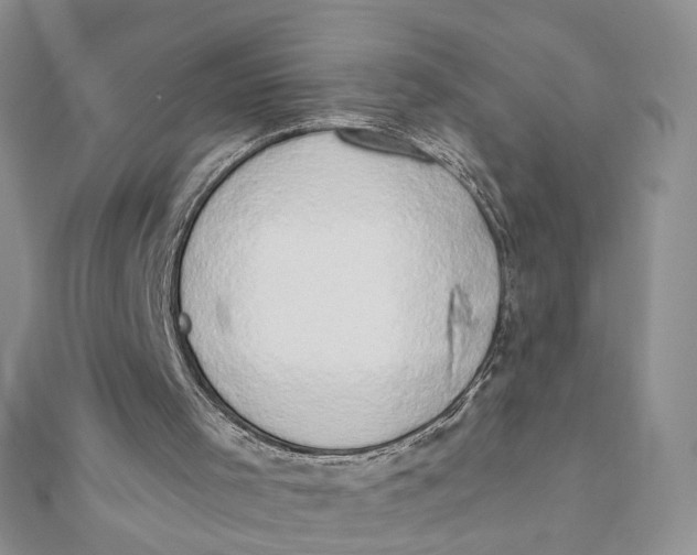 X0000111440001200908031402