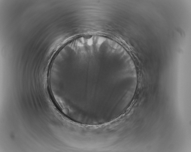 X0000111440002200908031402