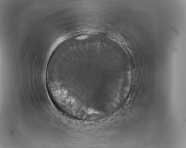 X0000111440003200908031402