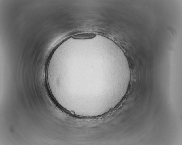 X0000111440005200908031402