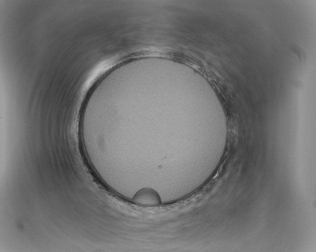 X0000111440006200908031402