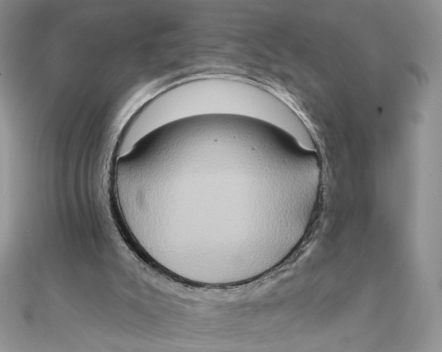 X0000111440007200908031402