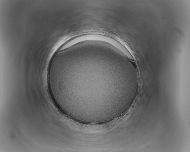 X0000111440008200908031402