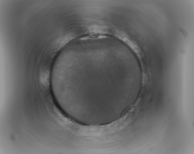 X0000111440009200908031402