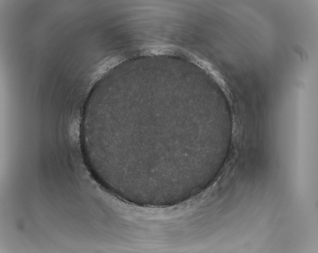 X0000111440010200908031402