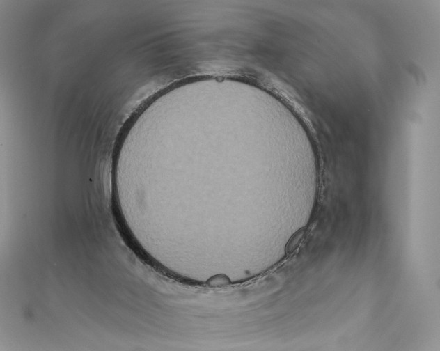 X0000111440011200908031402