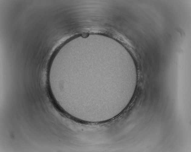 X0000111440012200908031402