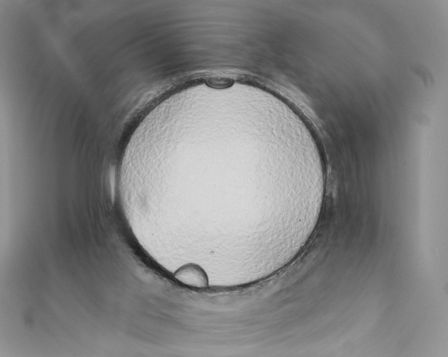 X0000111440013200908031402