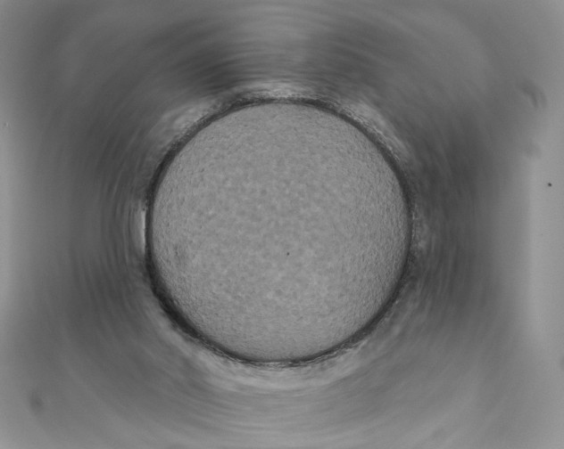 X0000111440014200908031402