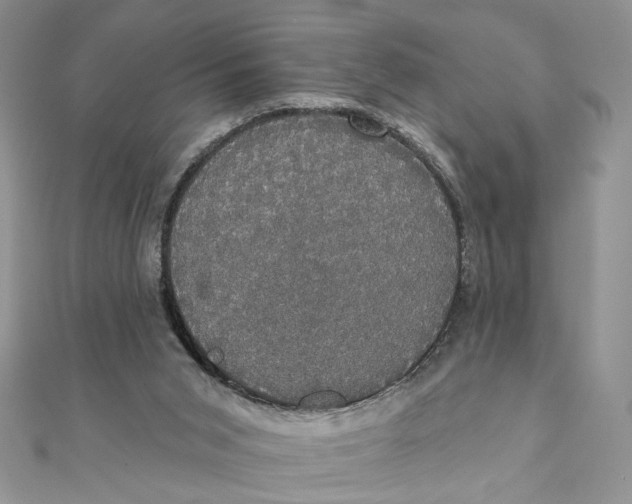 X0000111440015200908031402