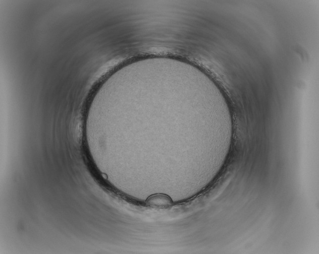 X0000111440016200908031402