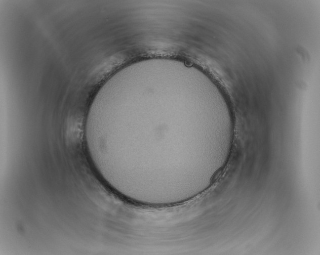 X0000111440017200908031402