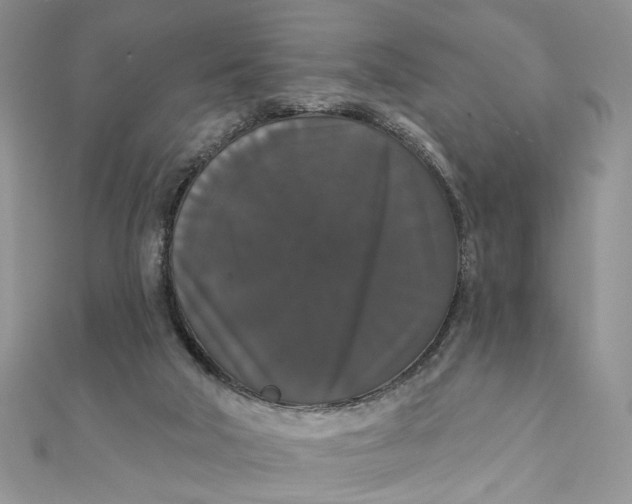 X0000111440018200908031402