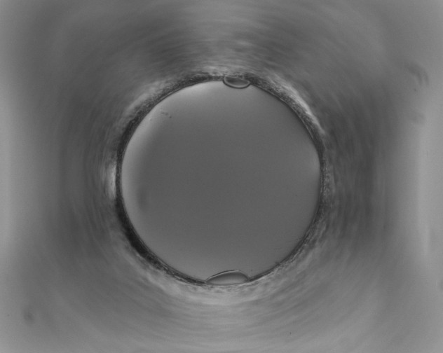 X0000111440019200908031402