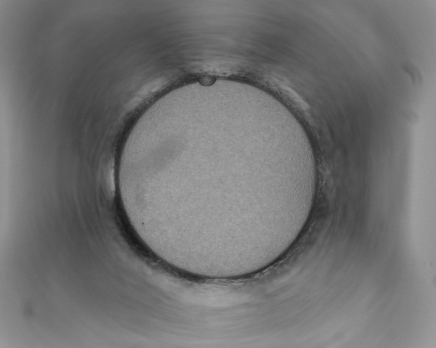 X0000111440020200908031402