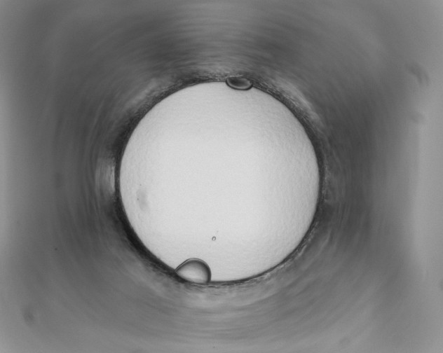 X0000111440021200908031402