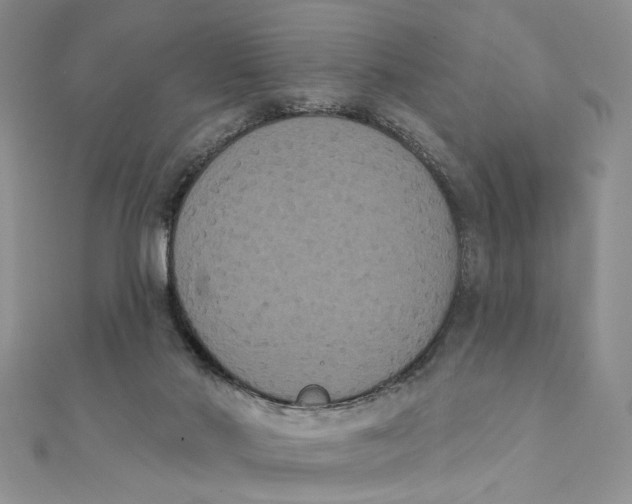 X0000111440022200908031402