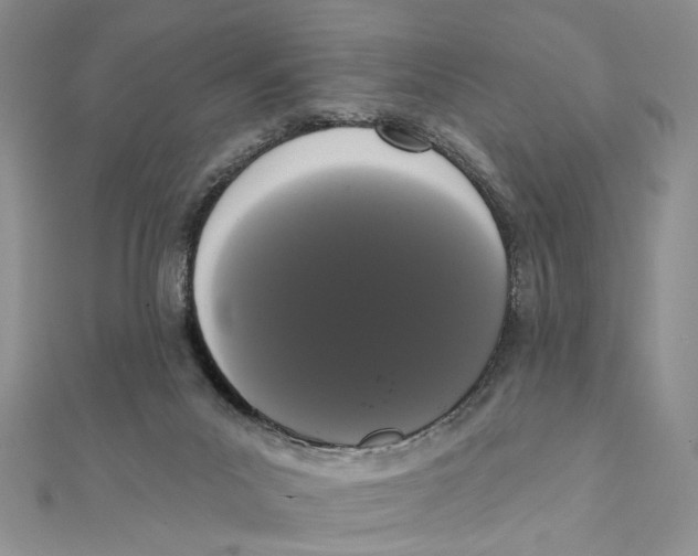 X0000111440023200908031402