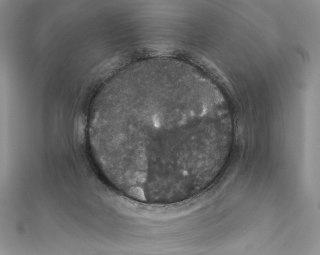 X0000111440026200908031402