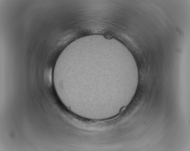 X0000111440028200908031402