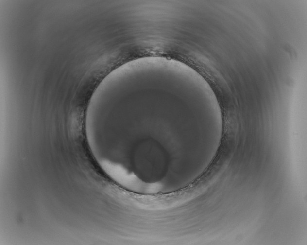 X0000111440030200908031402