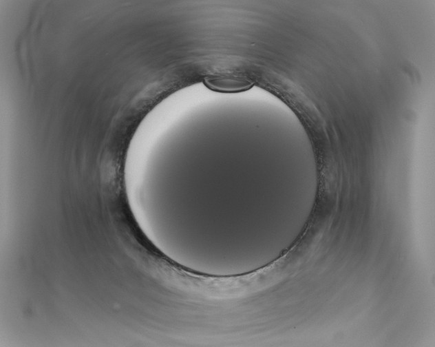 X0000111440031200908031402