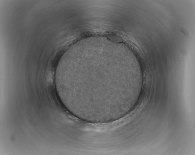 X0000111440033200908031401