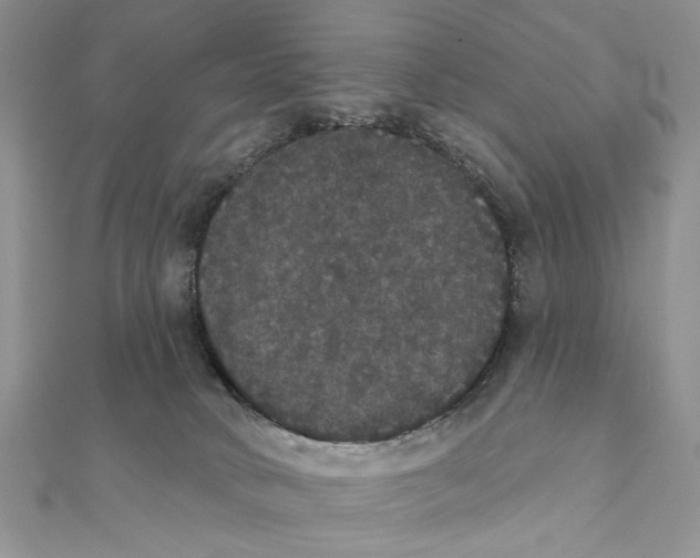 X0000111440034200908031401