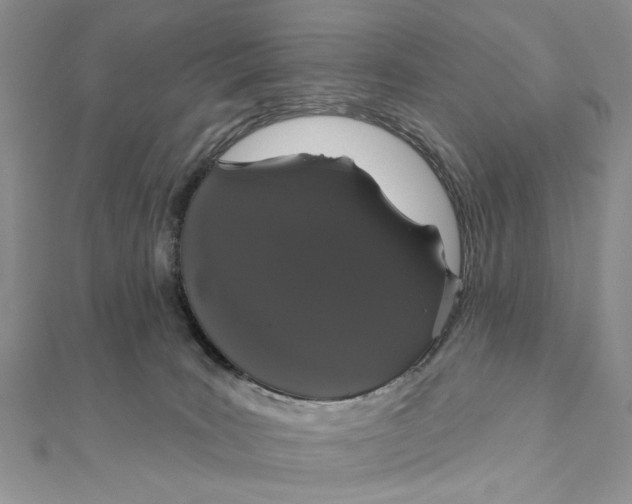 X0000111440035200908031401