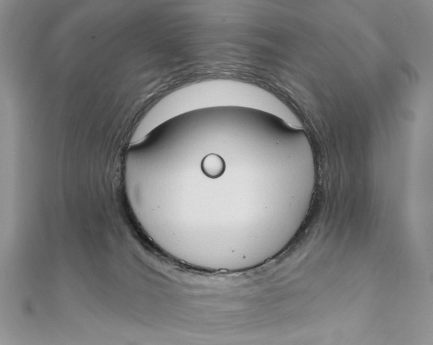 X0000111440036200908031401