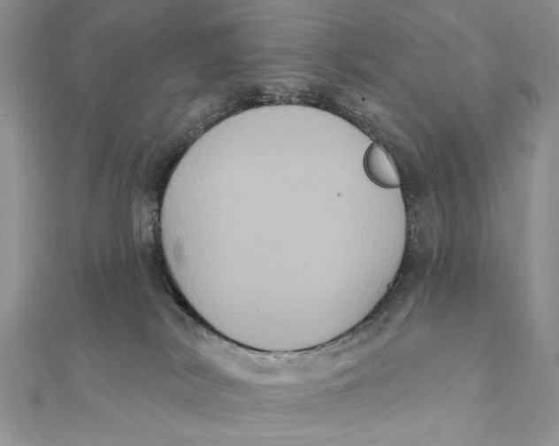 X0000111440038200908031401