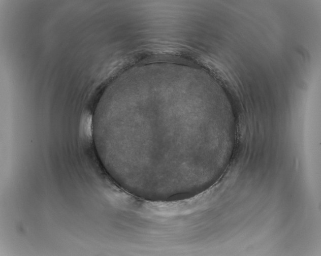 X0000111440041200908031401