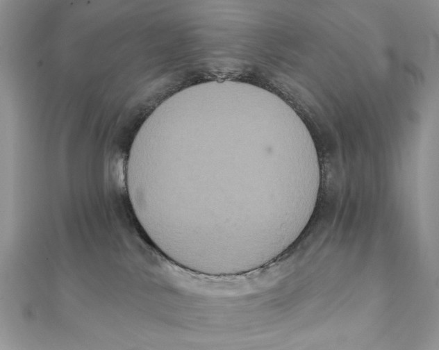 X0000111440042200908031401