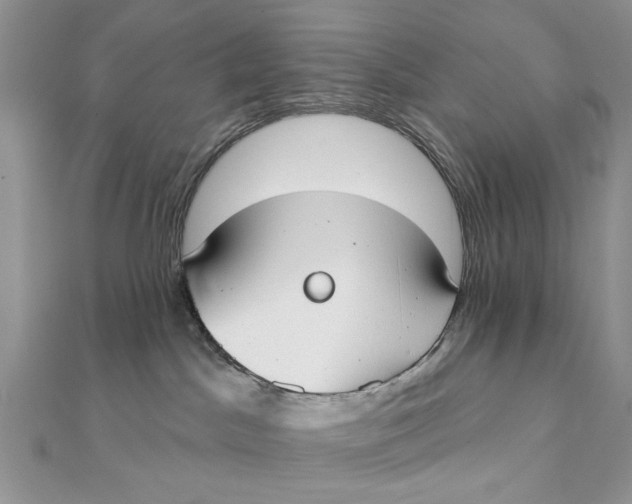 X0000111440045200908031401