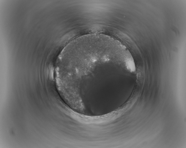 X0000111440046200908031401