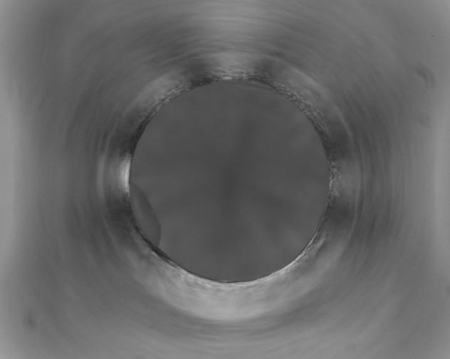 X0000111440047200908031401