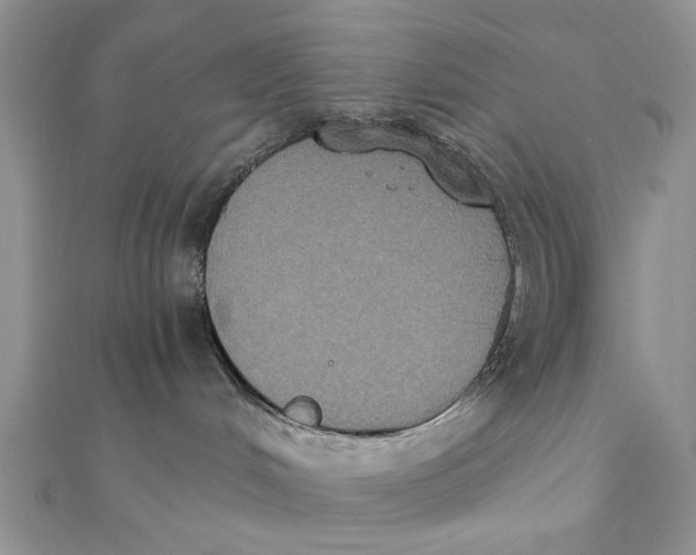 X0000111440048200908031401