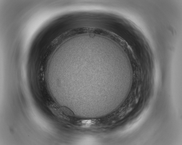 X0000111440050200908031401